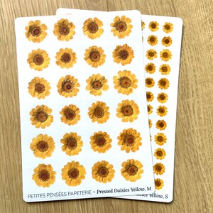 Feuille d'autocollants pressés jaunes de marguerites, autocollants réalistes de journal de fleurs pressées