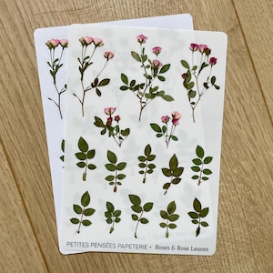 Hoja de pegatinas de rosas y hojas de rosa prensadas, pegatinas de diario con flores y hojas prensadas, hoja de pegatinas washi con motivos florales románticos