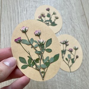 Pegatinas ovaladas con rosas prensadas reales (juego de 2 pegatinas), pegatinas para diario con flores prensadas, flores románticas, pegatinas con capullos de rosa sobre papel kraft