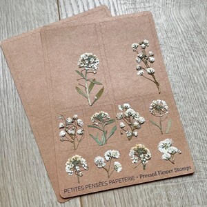 Stickervel met echte geperste bloemenstempels voor journaling, dagboekstickers en efemere bloemen, witte bloemen op kraftstickers