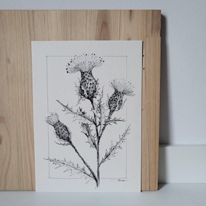 Original Botanical Drawing, Floral ink sketch, Floral graphic illustration