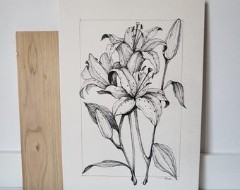 Oryginalny rysunek lilii, szkic tuszem kwiatowym, ręcznie wykonana sztuka botaniczna
