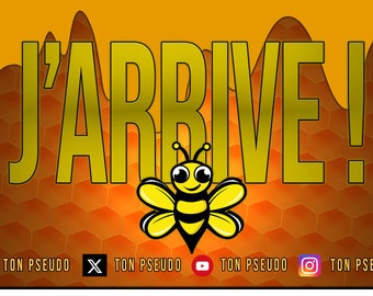 Overlay Twitch starting soon