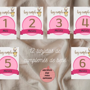 Pakket van 12 verjaardagskaarten in het Spaans, het eerste jaar van de baby in cijfers en afbeelding van een aap, souvenir van elke maand, cadeau voor pasgeborenen.