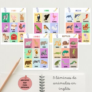 Set de 5 láminas en inglés de animales, carteles educativos para imprimir, granja, selva, aves, océano y reptiles en A4 y A3, aprendizaje.