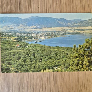 Carte postale, Canada, Colombie-Britannique, Penticton, verger de pommiers, Coast Publishing, S-48138, vintage, carte de voeux, affranchissement canadien