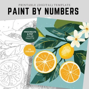 Puede incluir: Una plantilla digital de pintar por números con el texto "PAINT BY NUMBERS". La imagen presenta un diseño de cítricos con naranjas, hojas y flores. Incluye una paleta de colores y 24 colores.