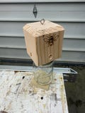 boring bee traps