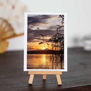 Palmy w Amazonii, Cuyabeno, Ekwador, Ameryka Południowa - Podróżuj ze mną, najwyższej jakości zdjęcia/pocztówki/wydruki/plakaty - oferta i prezent do domu