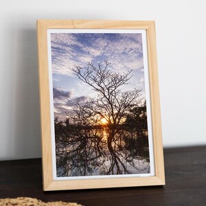 Arbre au coucher du soleil en Amazonie, Cuyabeno, Équateur, Amérique du Sud - Voyagez avec moi, photos/cartes postales/impressions/affiches de haute qualité - offre et cadeau