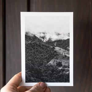 Valle del Cocora, Salento, Colombia - Palmeras - Viaja conmigo, Postales / Impresiones fotográficas de primera calidad para ofrecer y regalar