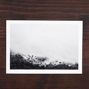 Vale do Cocora, Salento, Colômbia - Palmeiras com neblina - Viaje comigo, fotos de qualidade premium Postais / Impressões / Cartazes para oferecer e presentear