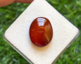 Pode incluir: Uma pedra preciosa polida, de formato oval, castanho-avermelhado. A gema está colocada sobre uma base branca quadrada dentro de uma caixa de plástico transparente. A pedra tem uma superfície brilhante, refletindo a luz. O fundo é relva verde desfocada.