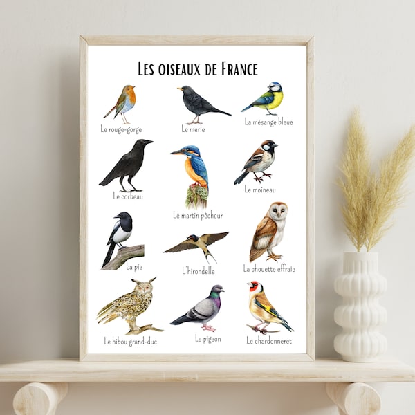 Affiche les Oiseaux de France, affiche pédagogique, affiche décorative