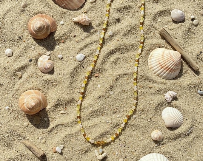 Amber Nights Natural Shark Tooth Necklace