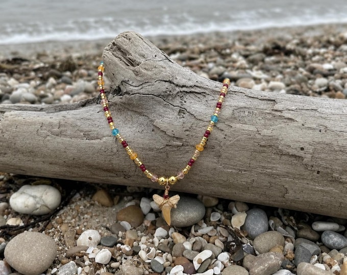 Sunset Tide Shark Tooth Necklace