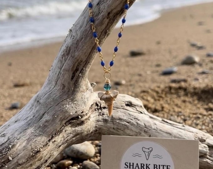 Blue Moon Natural Shark Tooth Necklace