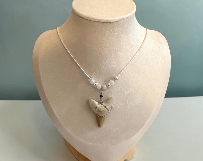 Customisable Sterling Silver Shark Tooth Necklace