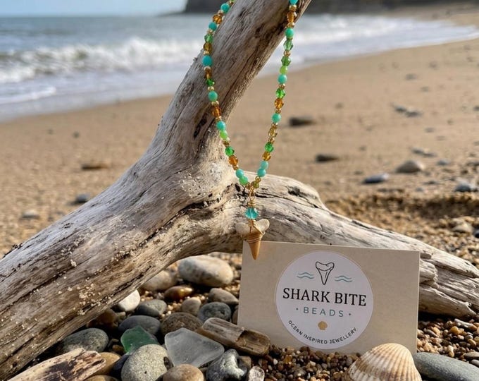 The Tidal Pool Natural Shark Tooth Necklace