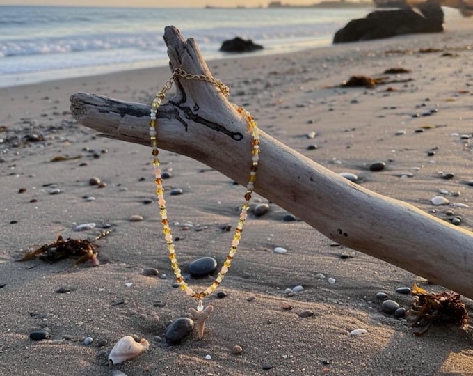 Amber Nights Natural Shark Tooth Necklace