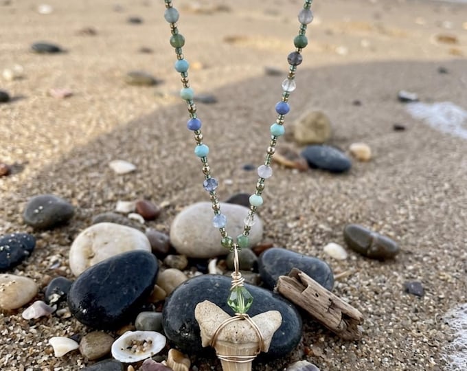 The North Sea Nomad -  Natural Shark Tooth Necklace