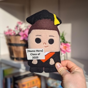 Cadeau de remise des diplômes masculin personnalisé carte d'études supérieures d'université doudou classe de 2025 poupée PHD présente figurine d'examen de réussite personnalisée