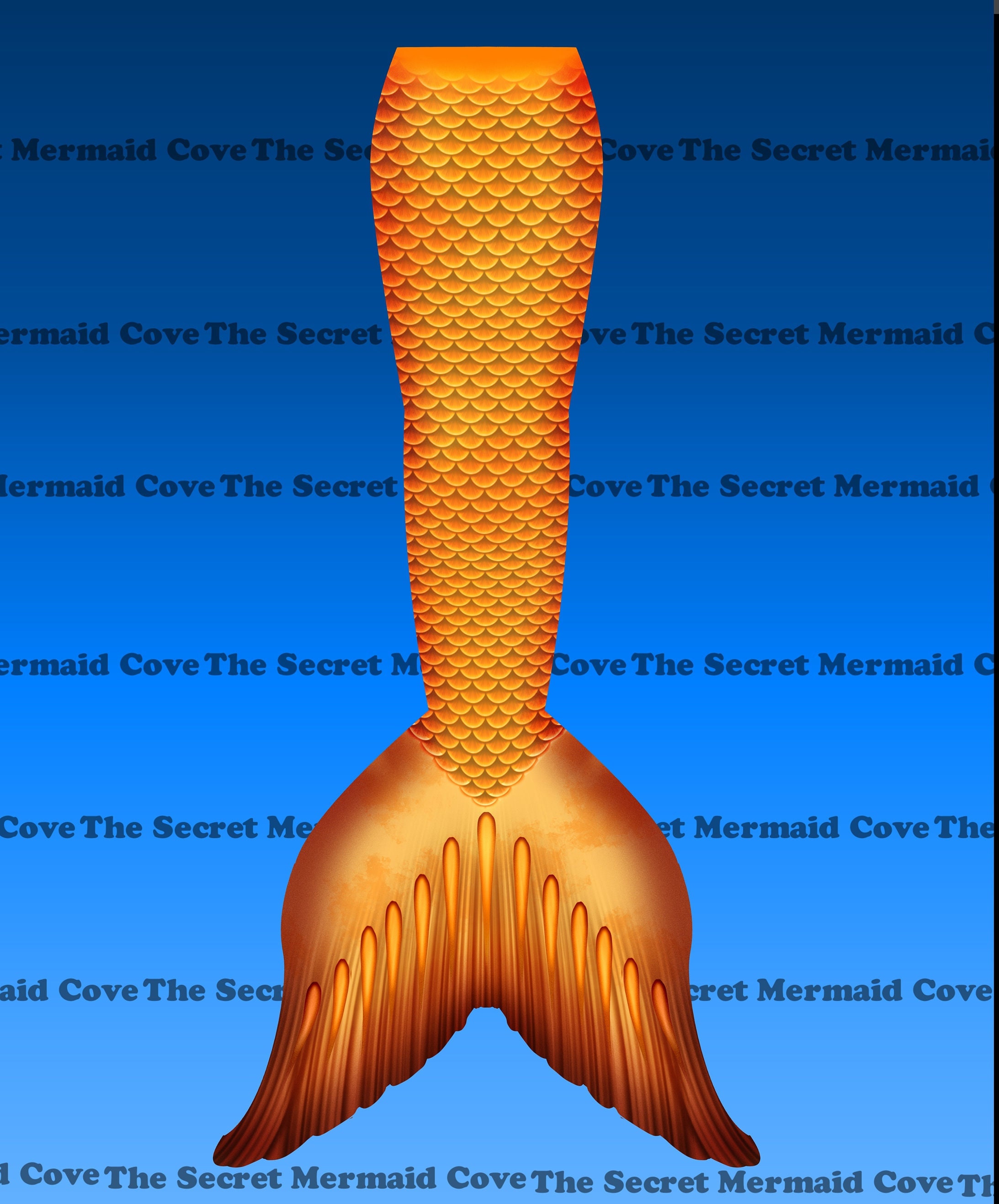 マーメイドテールセット Mermaid Tail – マーメイドスイムインストラクター