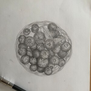original sketch print blueberries