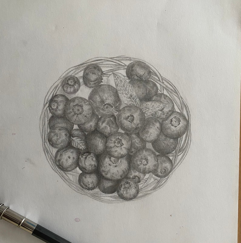 original sketch print blueberries