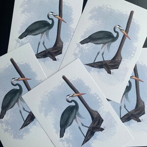 Airone azzurro maggiore, versione stampata d’arte digitale su carta riciclata, formato A4, decorazione per cameretta