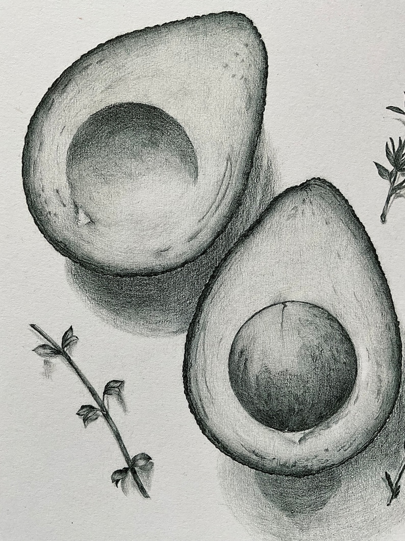 still life drawing vegetable