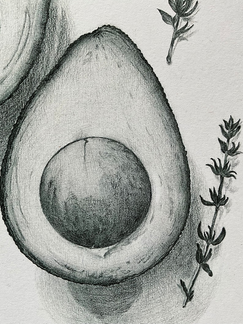 Avocado original drawing wall art