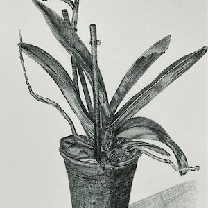 Orchidee in een pot originele tekening kunst aan de muur afgedrukt