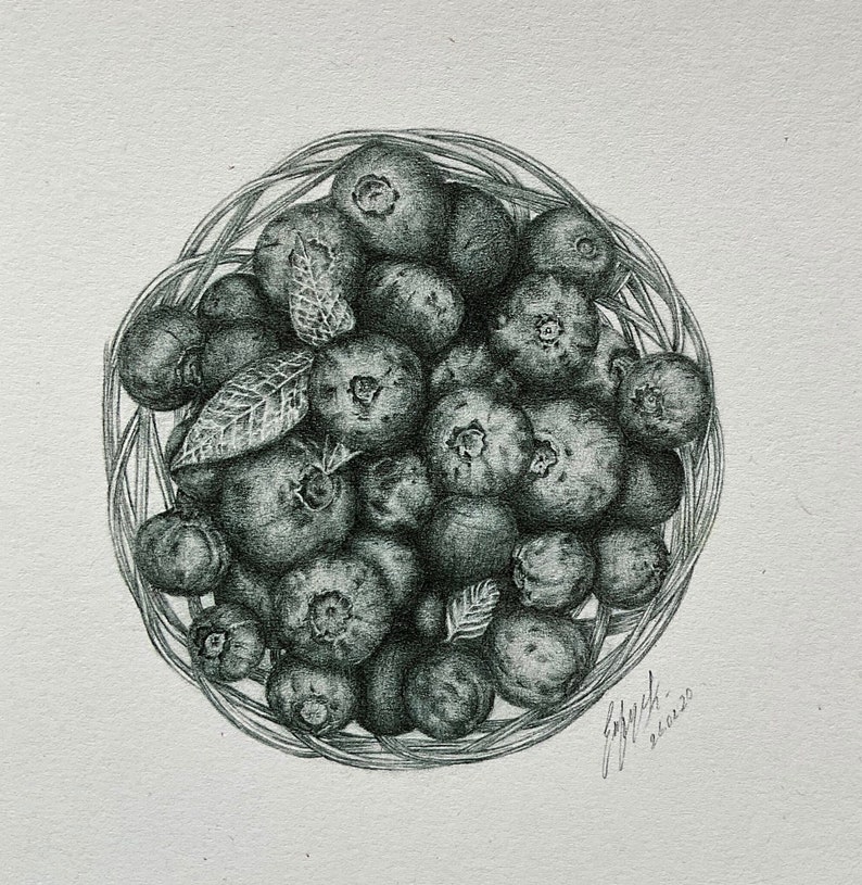 blueberry original drawing high quality print