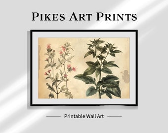 Botanical Drawing Illustration | Antique Plant Art | Digital Download | Herbal Print | Victorian Floral Decor | Botanical Drawing