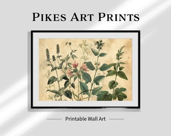 Botanische Illustration | antiker Blumendruck | Digitaler Download | Viktorianische Blumenkunst | Garten-Wand-Dekor | Botanisches Poster