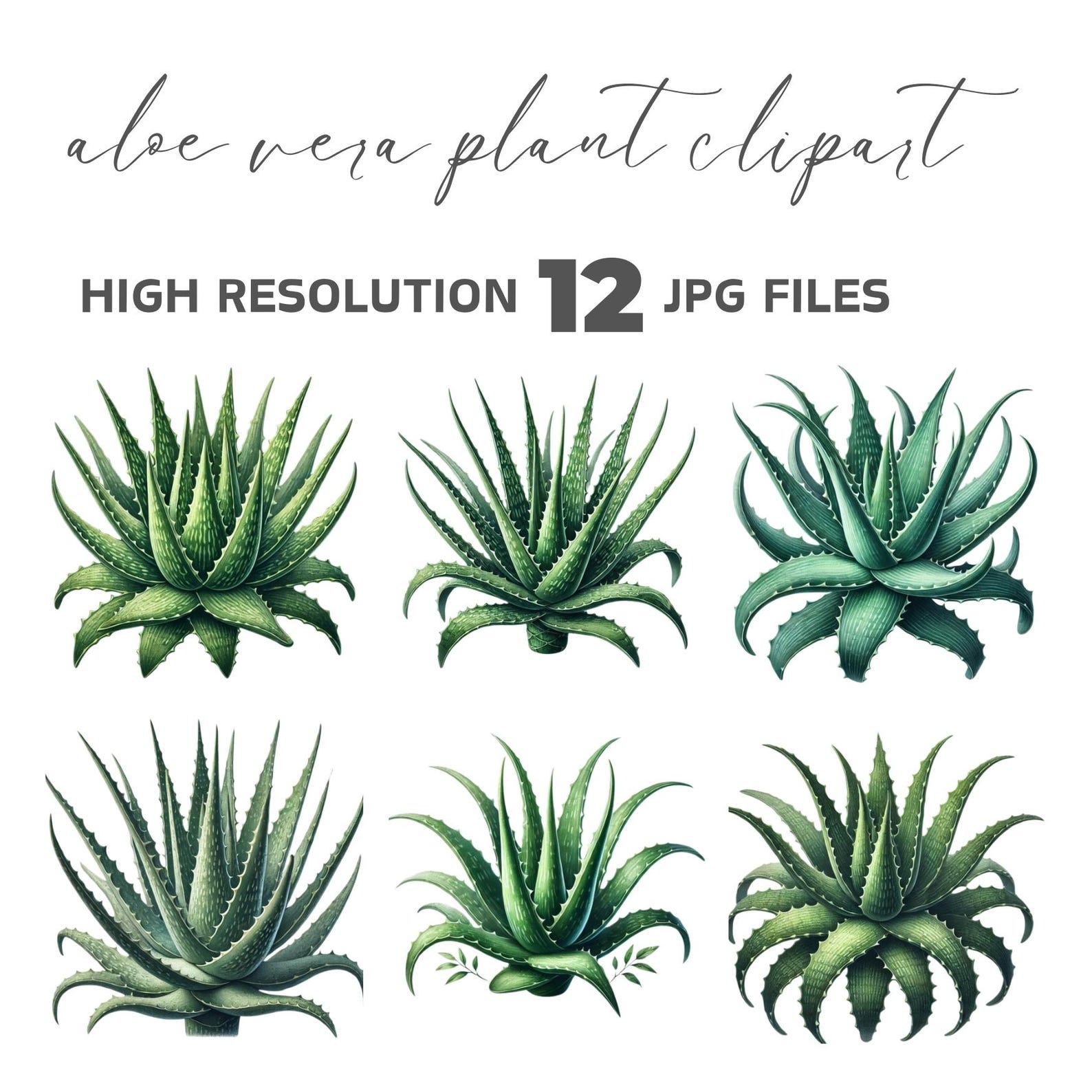 Aloe Vera Plant Clipart Set, Printable Planner Stickers, Botanical Wall ...