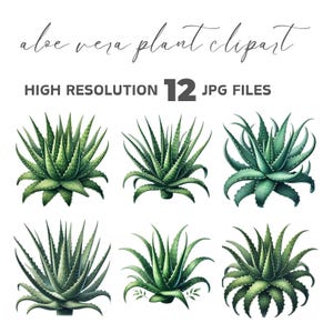 Aloe Vera Plant Clipart Set, Printable Planner Stickers, Botanical Wall ...