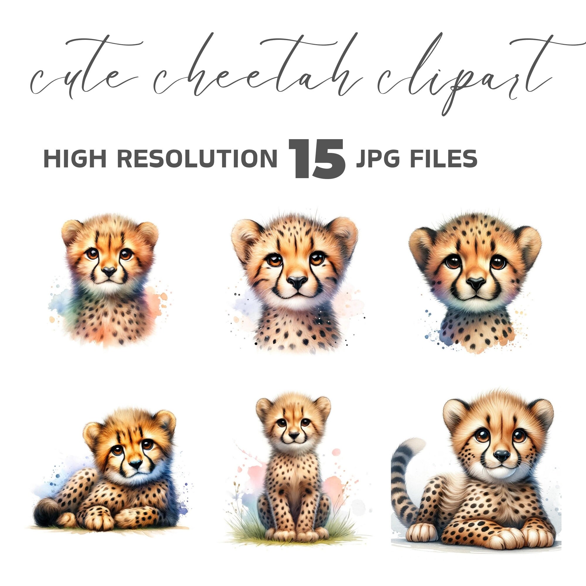 Digital Cheetah Clipart, Safari Theme Images for Commercial Use and