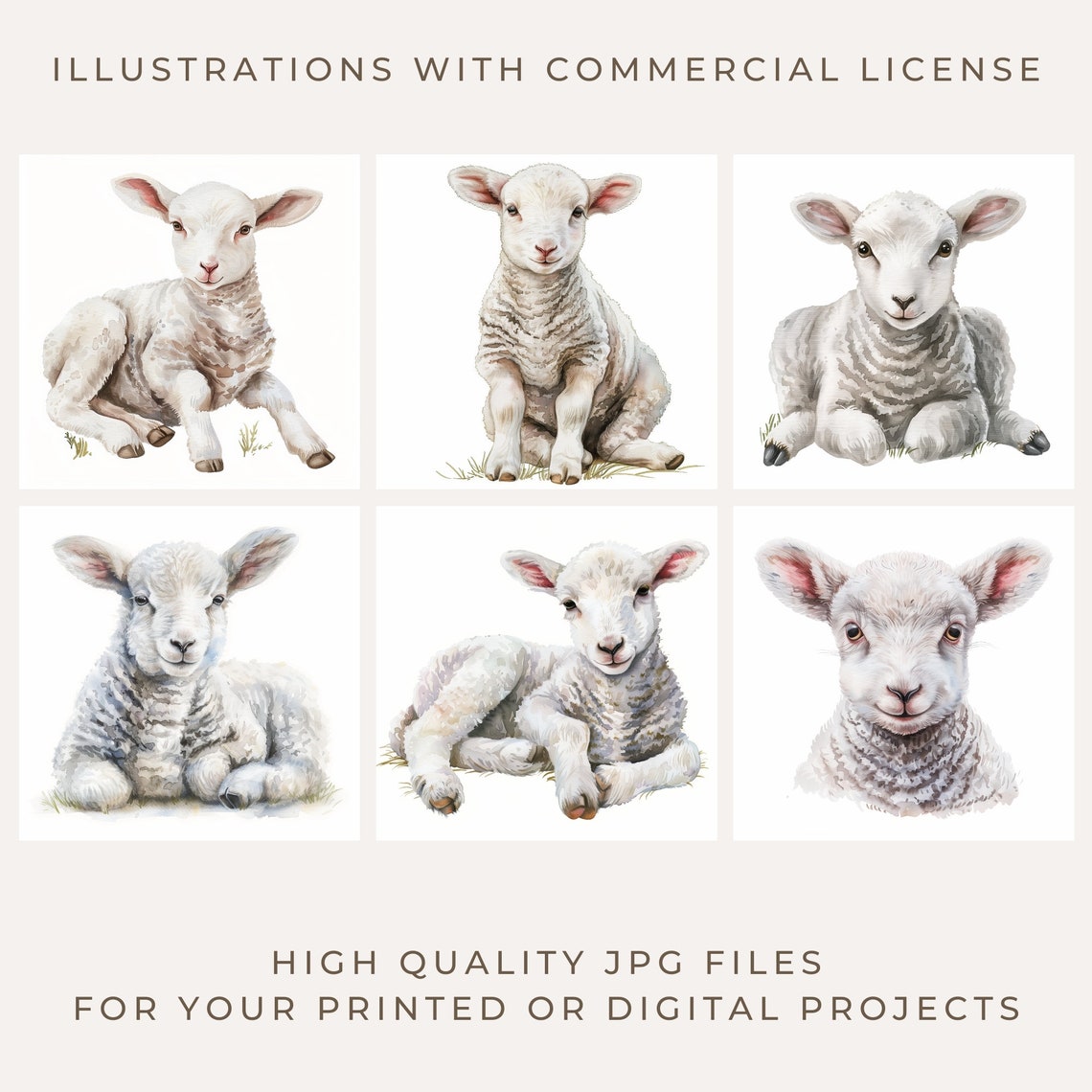 8 Farmhouse Clipart, Lamb Baby Shower, Easter Clip Art, Baby Animals ...