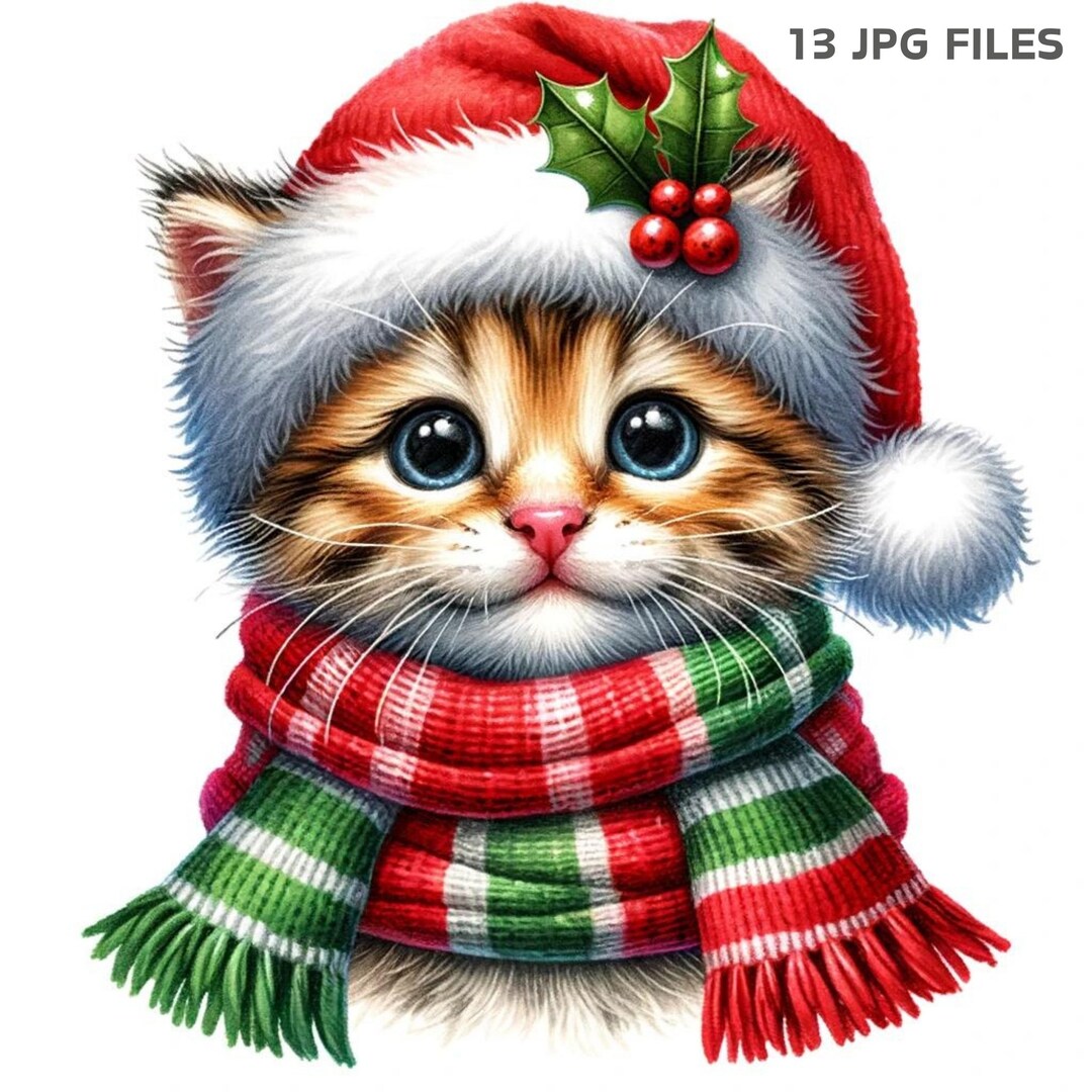 Funny christmas kitten pictures