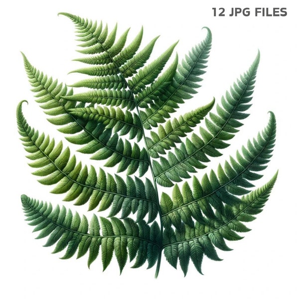 Fern Leaves Instant Download for Scrapbook & Junk Journal, Leafy Greenery Clipart,Digital Watercolor Images for Printable Art,Commercial Use