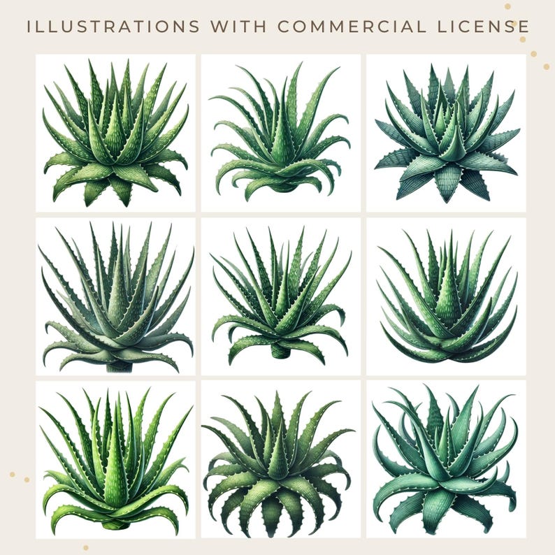 Aloe Vera Plant Clipart Set, Printable Planner Stickers, Botanical Wall ...