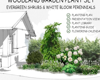 Ready-Made Woodland Garden Plant Set – Low-Maintenance Evergreen Shrubs & White Bloom Perennials for Full or Partial Shade | USDA Zones 4–7