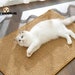 see more listings in the Cat Scratching Mat section