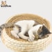 see more listings in the Cat Bed section