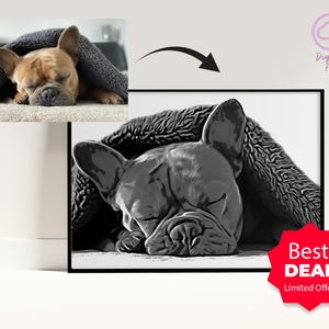 Französische Bulldogge Portrait – Individuelle Hundekunst vom Foto, Digital Haustierdruck