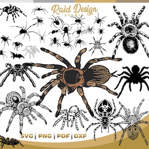 Puede incluir: Un conjunto de 14 ilustraciones de siluetas de arañas negras y marrones. Las ilustraciones están en varias poses y tamaños. El texto "Raid Design Studio" está en la parte superior de la imagen. El texto "SVG PNG PDF DXF" está en la parte inferior de la imagen.