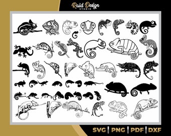 Chameleon Silhouette, INSTANT DOWNLOAD, chameleon lineart design, chameleon animated, colored chameleon Svg, Png, Dxf, Pdf