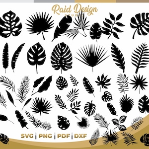 Puede incluir: Una colección de 40 archivos de corte SVG de hojas y flores tropicales en silueta negra. Los archivos incluyen hojas de palmera, hojas de monstera, helechos y flores. El texto "SVG PNG PDF DXF" está en la parte inferior de la imagen.